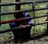 David welding pipe corrals.