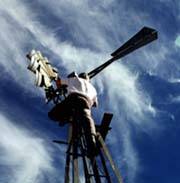 David fixing the windmill