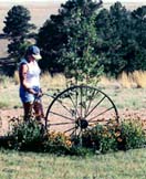 Enjoying the garden and outdoors!